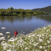 Fotoshooting Spessart-Mainland 2024, © Spessart-Mainland/ILE Südspessart/Holger Leue